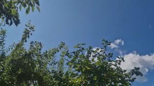 Праздничный день. Медовый спас. Подарки всем. Деревенская пекарня. Собрали велосипед из ничего.