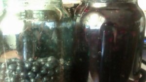 Черничный компот