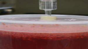 Домашнее вино из малины