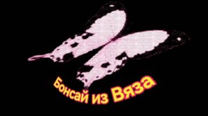 Бонсай из Вяза.