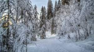 Осень, зима