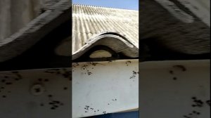 Волны шифера