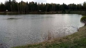 Веретьево.mp4