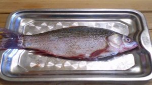 Жареная речная рыба