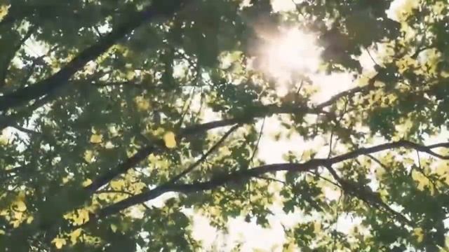 Прогноз на 16 августа. День света.