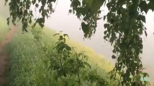 Неравный брак и холодная свадьба // Бесплатные жизненные истории аудио