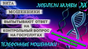 🌞 ВИТА. ДНК | ТЕЛЕФОННЫЕ МОШЕННИКИ