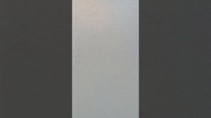 з бумажные собаки 🥰😊🤪