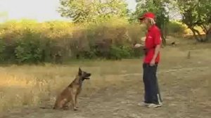 Отработка команды Ко мне. Уроки от Команды Азарт