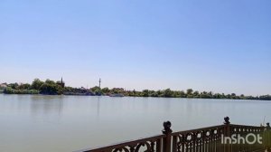 Гуляю с собаками в Юбилейном