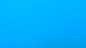 Сочи. Лазаревское. В поисках медуз. 2025