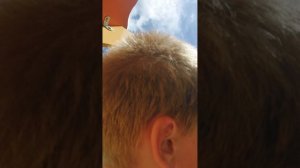 пол - это лава Челлендж