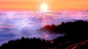 Никогда не поступайте так со своей обувью.