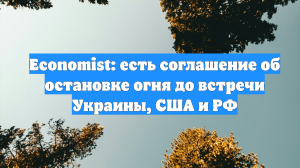 Economist: есть соглашение об остановке огня до встречи Украины, США и РФ