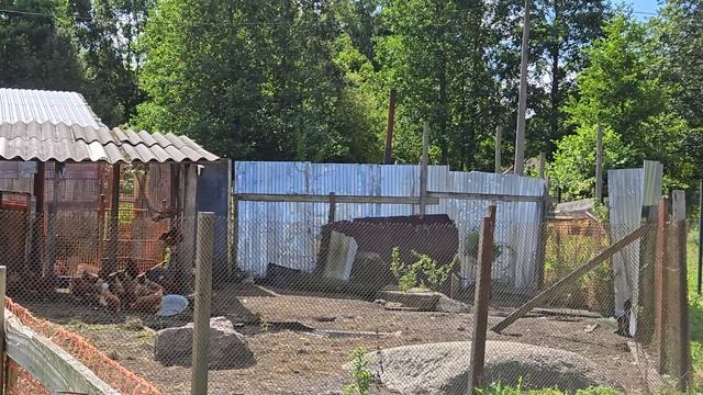 99240.mp4 смотреть онлайн