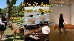 VLOG#7. ЯПОНИЯ. ОСАКА. НАРА. ПАРК С ОЛЕНЯМИ. ФУКУОКА. ВПЕРВЫЕ НА БЕЙСБОЛЕ. ТОПОВЫЕ ЛОКАЦИИ С ЕДОЙ.