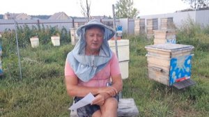 Мне цены на мёд пофигу...Нектар бесплатный, пыльца бесплатная...