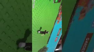 вырасти сад