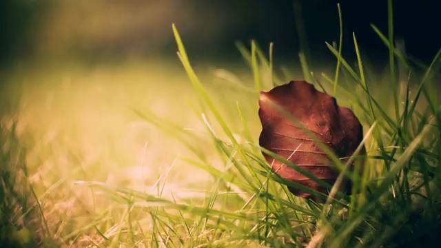 Сура 39 "Аз-Зумар" Аяты (38-75), красивое чтение Корана смотреть онлайн