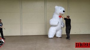 Воскресная тренировка Северян🤝, а самое главное у нас на тренировке был наш Северный Мишка❄👍