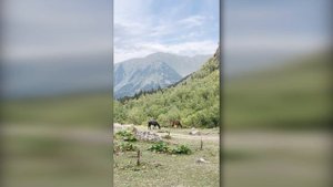 По Архызу с четырьмя детьми | Часть 6 — Озеро Орленок