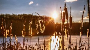 Доброе утро с пожеланиями добра