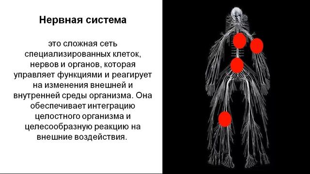 Кому и для чего нужна фарминдустрия?