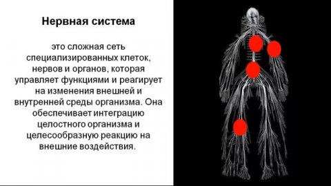 Кому и для чего нужна фарминдустрия?