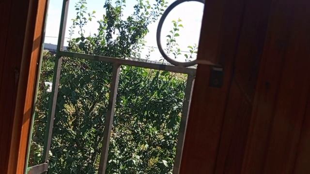 Накопилось/Ух,мы,ух,я/убрались на чердаке/