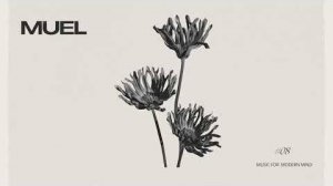 MUEL #08: August Nights Mix | Easy Listening for Late Evenings