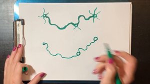 Как и почему работает нейрографика  Нейрографика с Оксаной Авдеевой