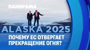 Пока Трамп и Путин обсуждают мир, Брюссель разрабатывает новые военные планы для Украины