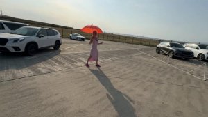 Лиса рулит - подборы, топ авто и советы