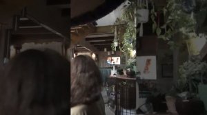 играю с котятами