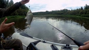 Карась на джиг??! Что -то новое. река сосьва 14.08.2025