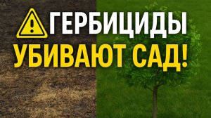 Гербициды: спасение от сорняков или гибель сада? #Газон #гербициды  #Сорняки