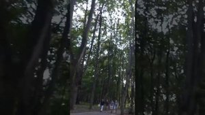 Парк Кусково. Пятница.