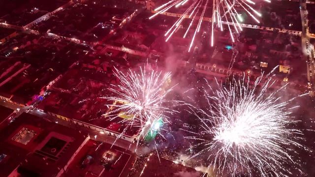 Профессиональный /Дрон