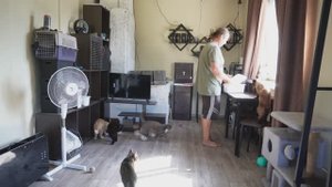 Урожаю наросло за лето надоест собирать Обход огорода в Сибири