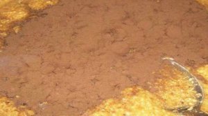 Домашние конфеты с арахисом