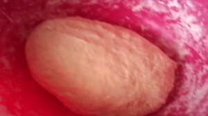 Жаренные с рыбой пирожки