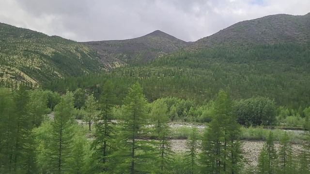 Якутская долина по Колымской трассе. Халыма трассатыгар саха хочото