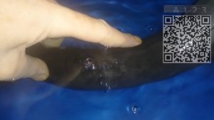 Заклейка прокола камеры велосипеда