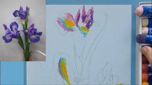 Рисуем ирисы масляной пастелью, техника, приёмы.