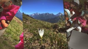 По Архызу с четырьмя детьми | Часть 2 — Горнолыжный курорт "Романтик"