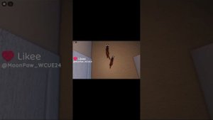 Сборник по всем видео из Likee 🤪