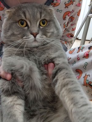 язззззззззз