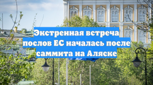 Экстренная встреча послов ЕС началась после саммита на Аляске