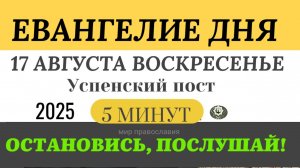 17 августа воскресенье Евангелие дня 2025 с толкованием #евангелие (5 минут)