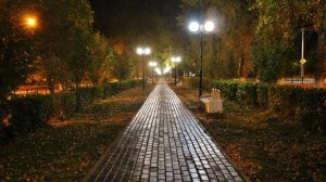 спокойной ночи